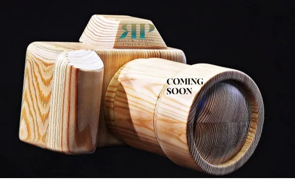 Rental property in Reitzstraat, Haarlem