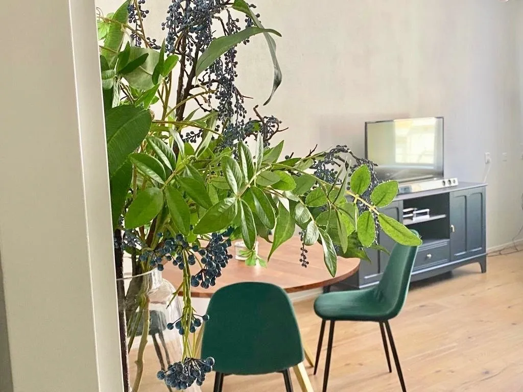 Rental property 2