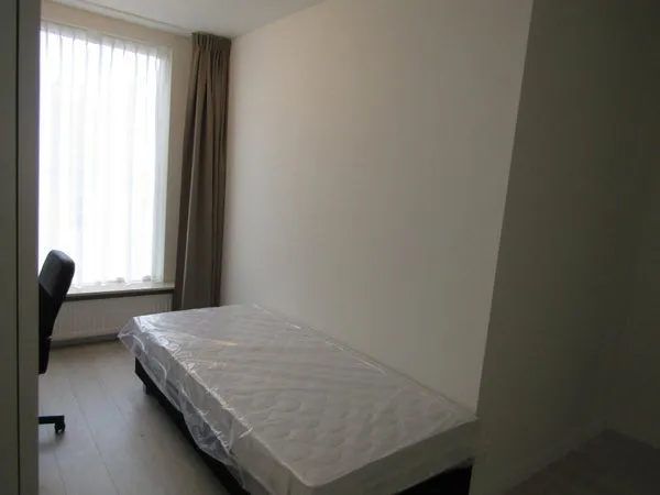 Rental property 2