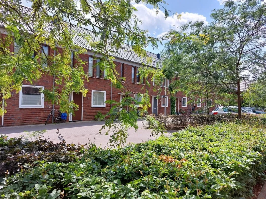 Rental property 2