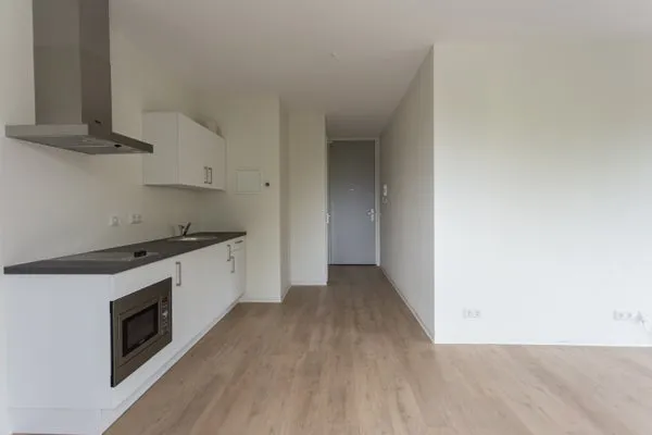 Rental property 2
