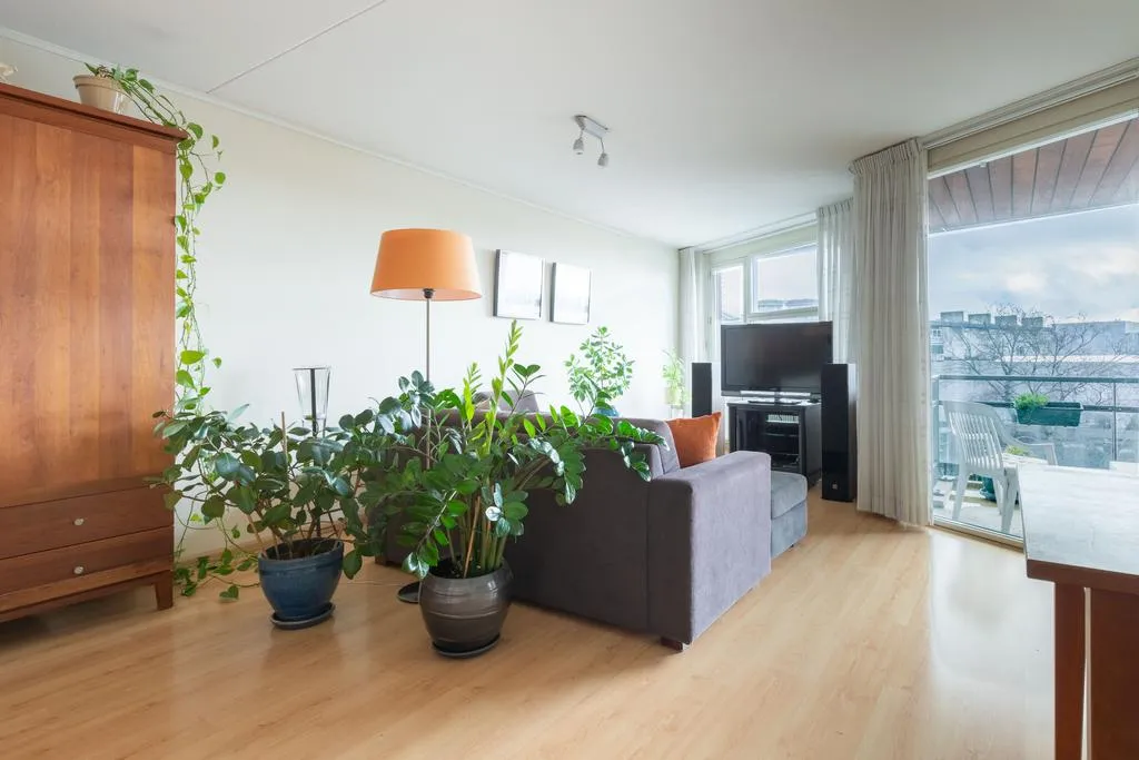 Rental property 3