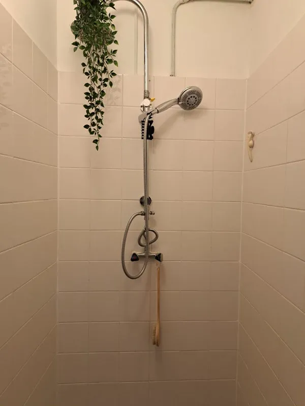 Rental property 4