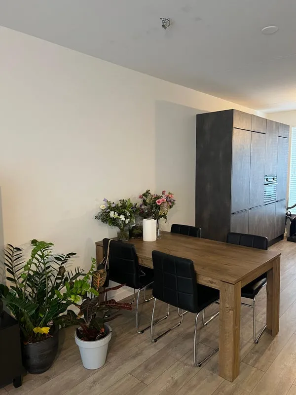 Rental property 4