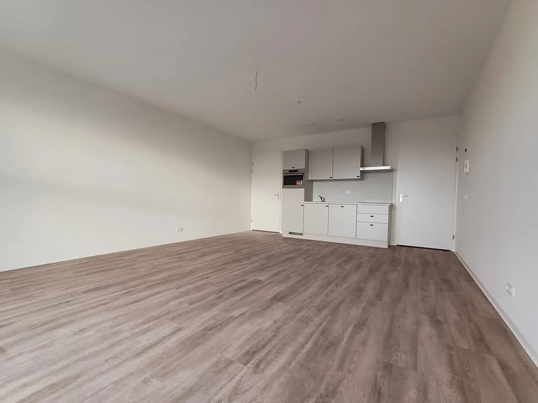 Rental property 4
