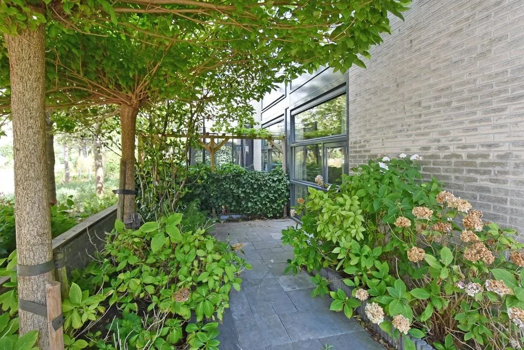 Rental property 4