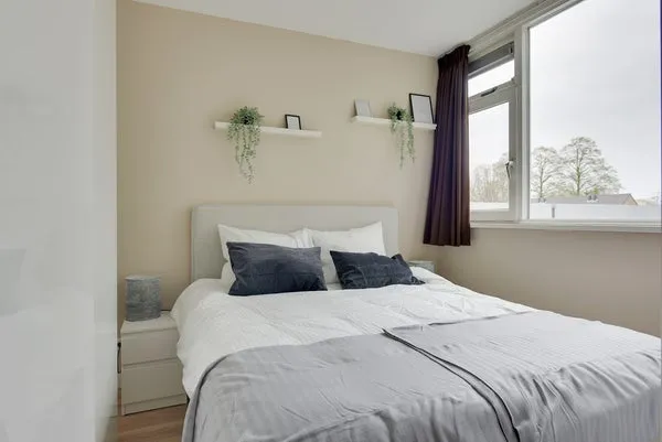 Rental property 4