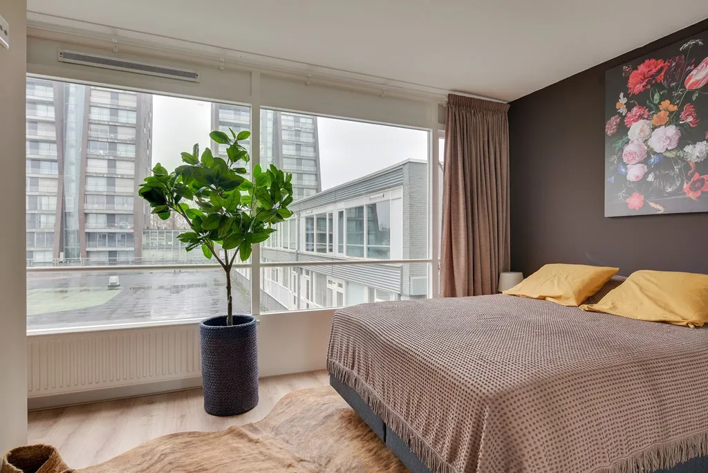 Rental property 4