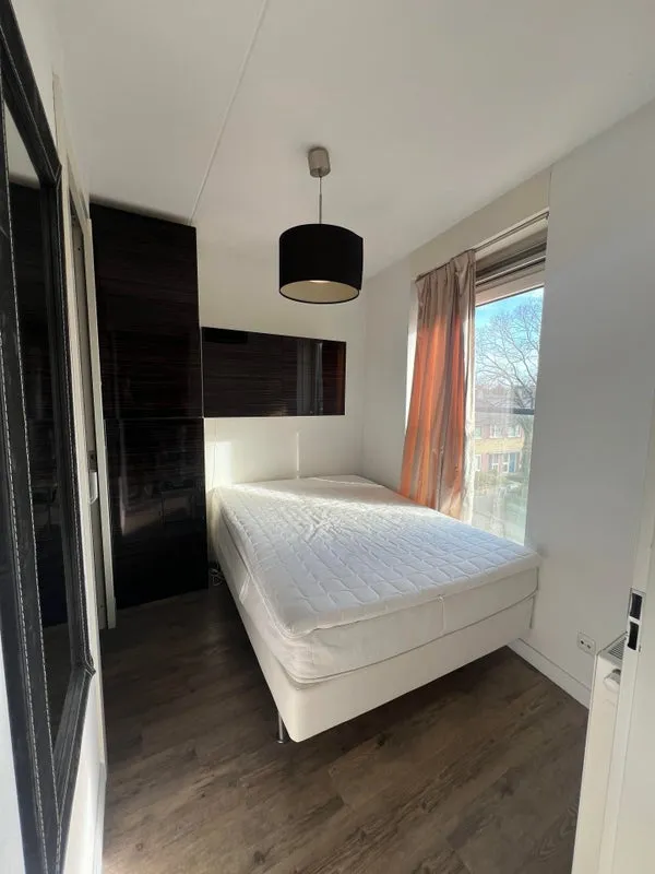 Rental property 4