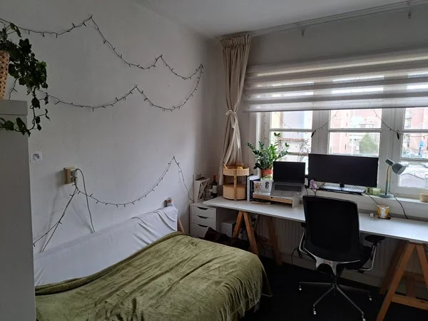 Rental property 2