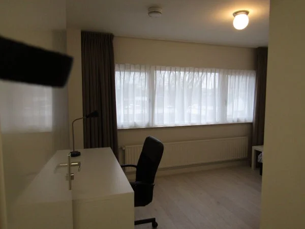 Rental property 2
