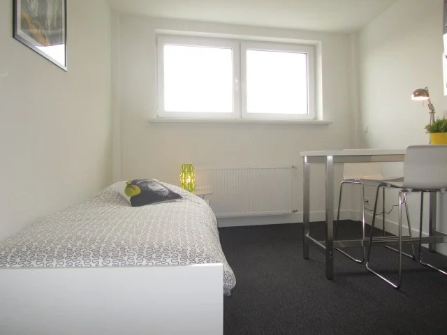 Rental property 2