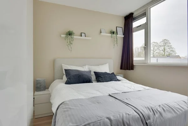 Rental property 4