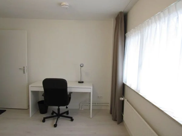 Rental property 5