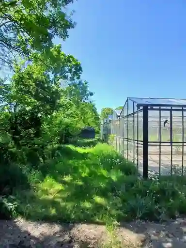 0m2 anti-squat to rent for 205€/month in 