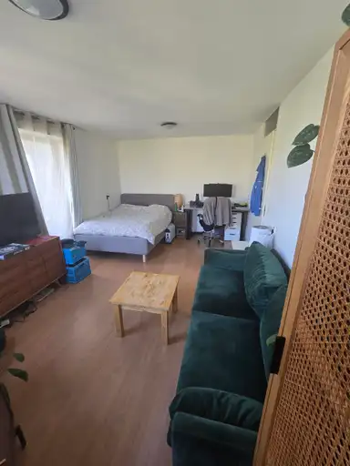 45m2 room to rent for 600€/month in Balthasar van der Polweg, Delft