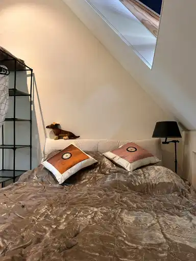 22m2 room to rent for 850€/month in Bankastraat, Dordrecht