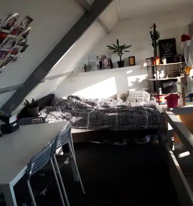 25μ² Δωμάτιο προς ενοικίαση για 265€/μήνα σε Dahliastraat, Leeuwarden