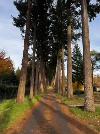 61m2 Haus zur Miete für 1195€/Monat in Hammerweg, Ommen