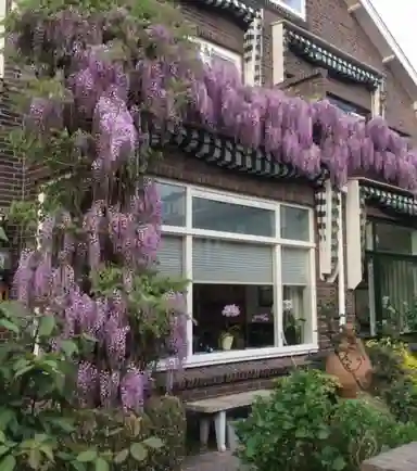 123m2 house to rent for 3200€/month in Laan van Sevenstar 18, Voorburg