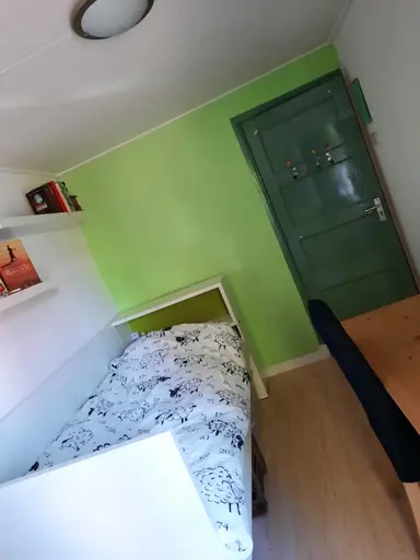 11m2 Camera in affitto per 380€/mese a Haringvlietstraat, Deventer