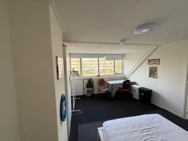 25m2 Camera in affitto per 600€/mese a Magnesiumlaan, Groningen