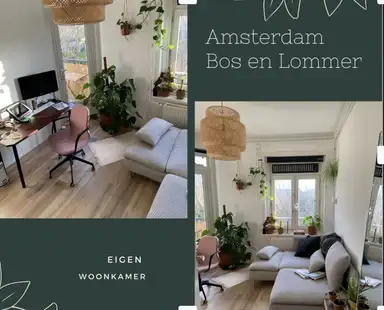 26m2 Kamer te huur voor 999€/maand in Erik de Roodestraat, Amsterdam