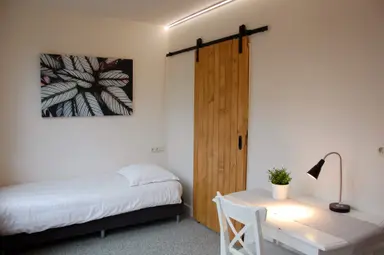 15m2 studio to rent for 336€/month in Deurningerstraat, Enschede