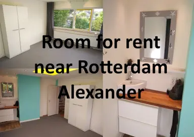 16m2 room to rent for 999€/month in Burgemeester Vogelaarsingel, Nieuwerkerk aan den IJssel