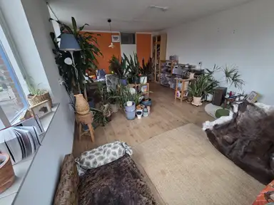 30m2 room to rent for 885€/month in Centraal Wonen Houtwijk, The Hague