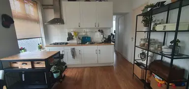 54m2 Appartement à louer pour 2200€/mois à Eksterlaan, Haarlem