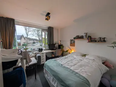 13m2 Kamer te huur voor 500€/maand in Pisanostraat, Eindhoven