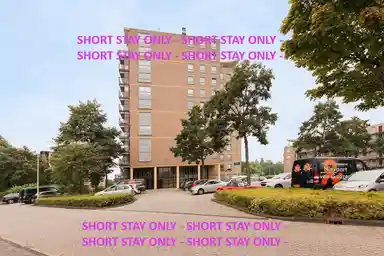 80m2 apartment to rent for 1650€/month in Coebelweg 3, Leiden