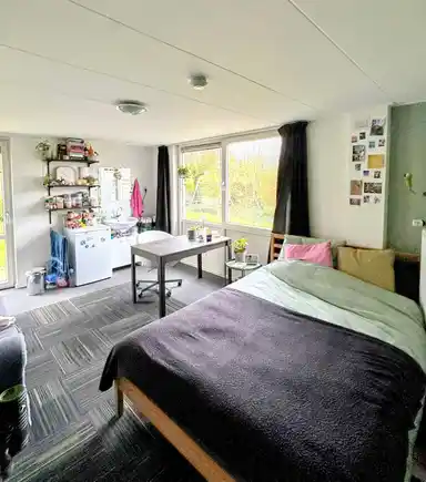 17m2 room to rent for 639€/month in Graafseweg, Nijmegen