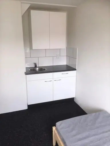 14m2 room to rent for 475€/month in Oldenzaalsestraat, Hengelo