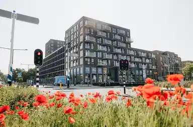 66m2 flat to rent for 1300€/month in Theodora Eigemanpad 270, Delft