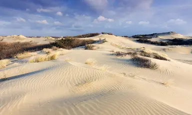 150m2 house to rent for 2700€/month in Monseigneur van Steelaan, Voorburg