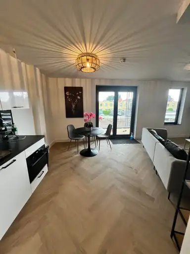51m2 apartment to rent for 1475€/month in Hoefstraat, Tilburg
