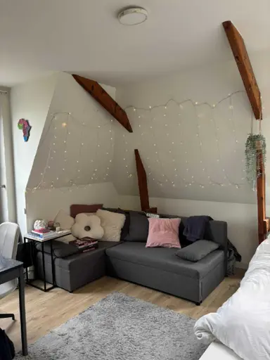 17.5m2 Camera in affitto per 785€/mese a Ubbo Emmiussingel, Groningen