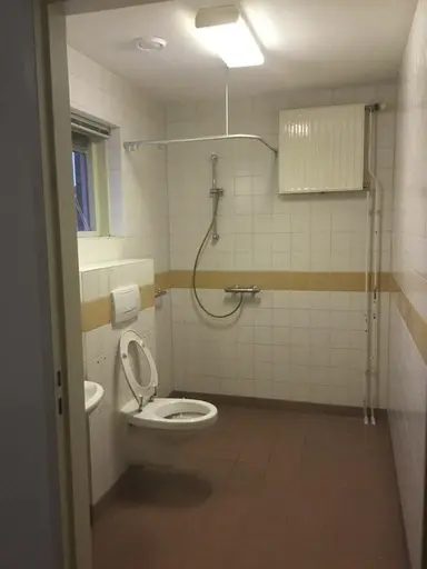 20m2 Camera in affitto per 365€/mese a Esmoreitstraat, Oosterhout