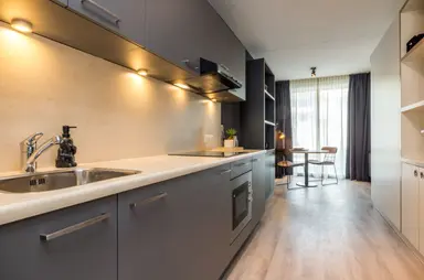 33m2 flat te huur voor 1273.57€/maand in Jan de Oudeweg 54, Delft