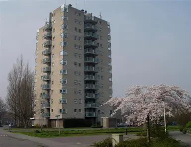 50m2 Appartamento in affitto per 844.89€/mese a Zaagmolenstraat 6, Leidschendam