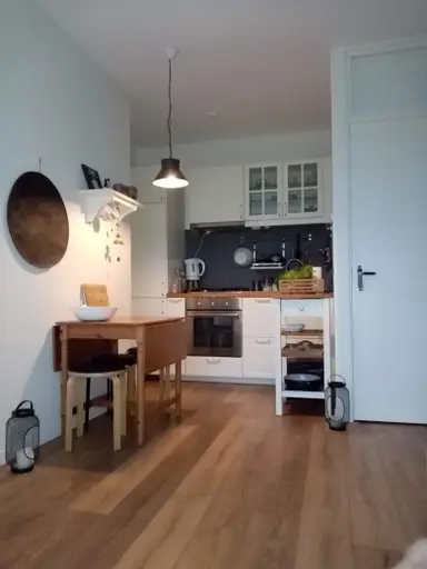 34m2 apartment to rent for 1700€/month in Van Nijenrodeweg, Amsterdam