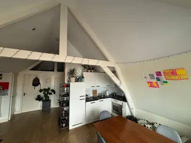 51m2 Appartement te huur voor 1500€/maand in Regentesselaan, The Hague