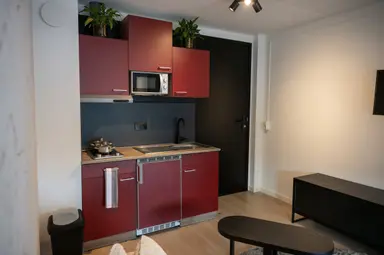 24m2 studio te huur voor 1050€/maand in Ommedijk 2636, Schipluiden