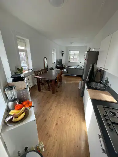 100m2 Kamer te huur voor 550€/maand in Lyonnetstraat, The Hague