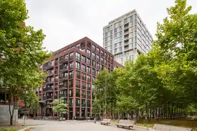 53.5m2 apartment to rent for 1155€/month in Ingenieur Kalffstraat 96, Eindhoven
