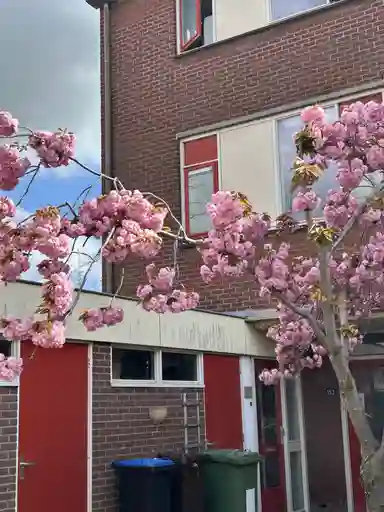 64m2 Appartement te huur voor 720.72€/maand in Mozartlaan 155, Hazerswoude-Rijndijk