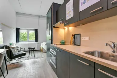 18m2 studio te huur voor 1077.54€/maand in Van Embdenstraat 598, Delft