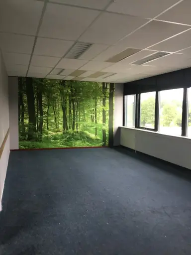 30m2 Kamer te huur voor 300€/maand in De Omloop, Beilen